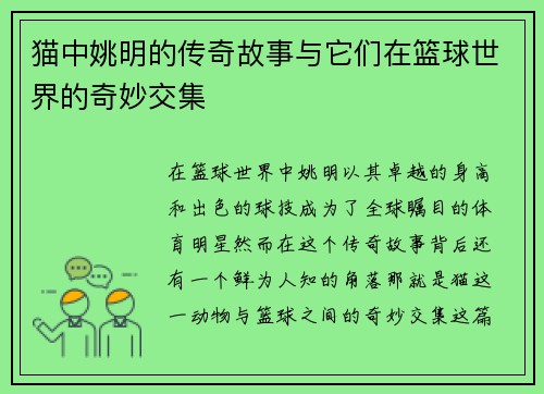 猫中姚明的传奇故事与它们在篮球世界的奇妙交集