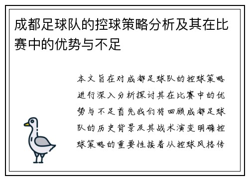 成都足球队的控球策略分析及其在比赛中的优势与不足