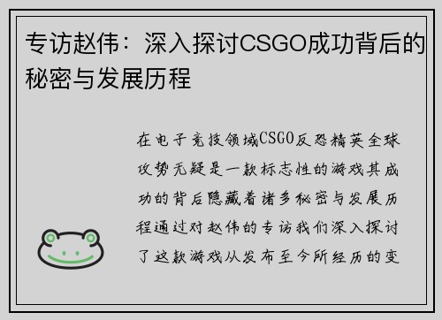 专访赵伟：深入探讨CSGO成功背后的秘密与发展历程